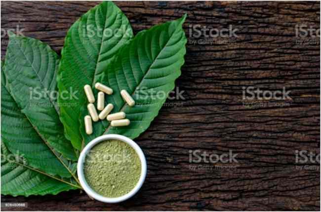 Will Kratom Help Me Gain More Energy As An Entrepreneur?