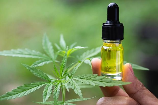 CBD Oil for Pets