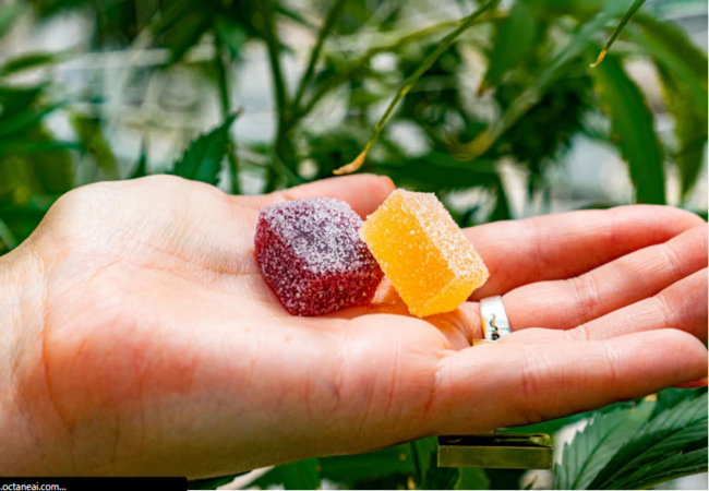 Elevate Your Party with CBD Gummies Infused with Food Flavors