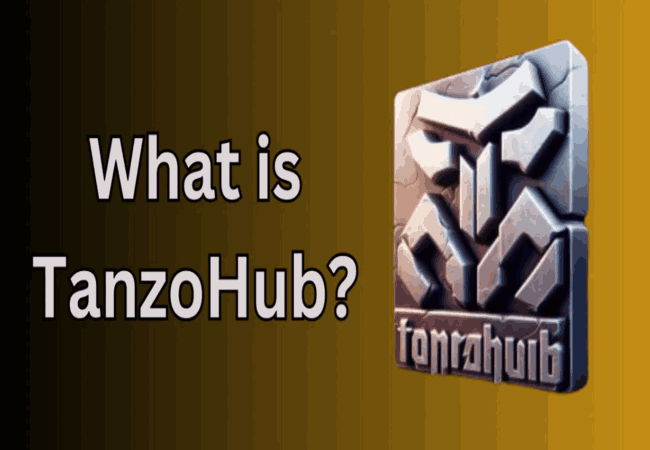  Tanzohub