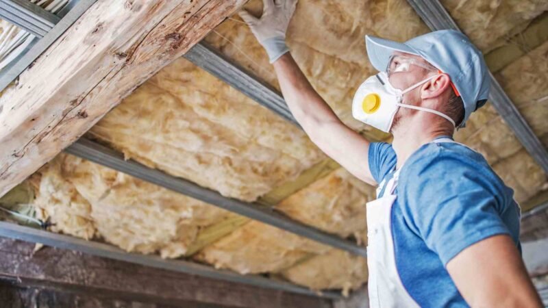What happens if you eat insulation? Possible Hazards & Prevention